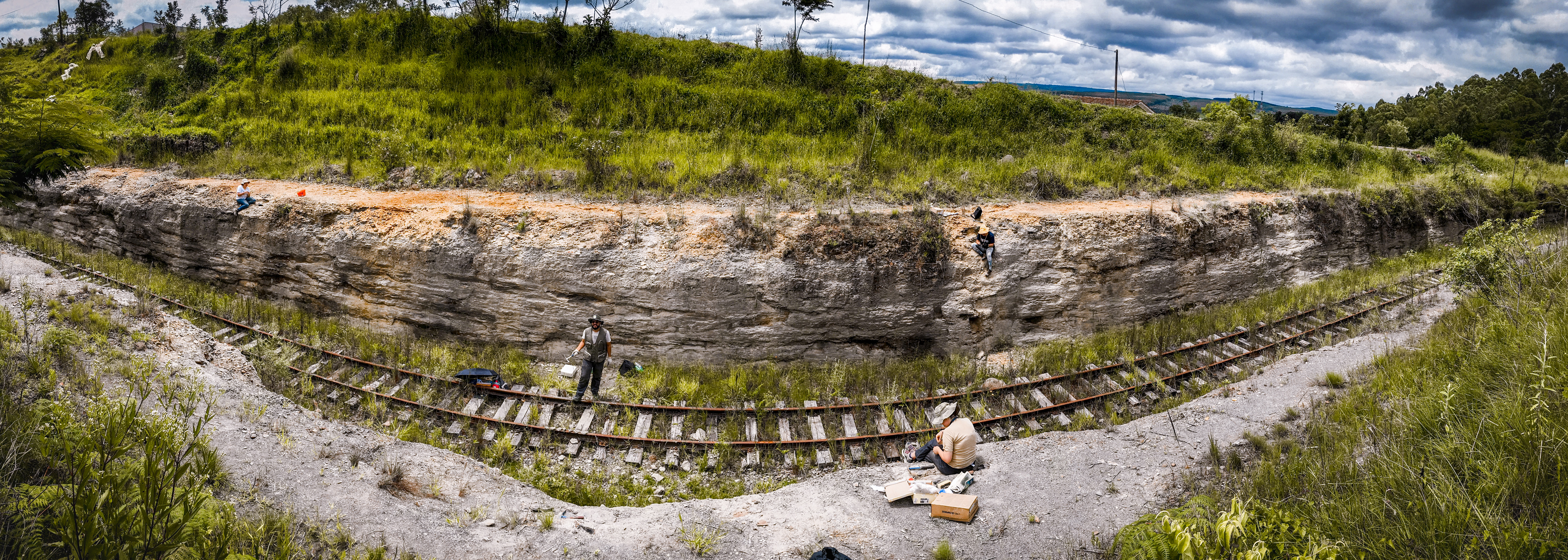 UFPR descobre fósseis mais antigos do que dinossauros