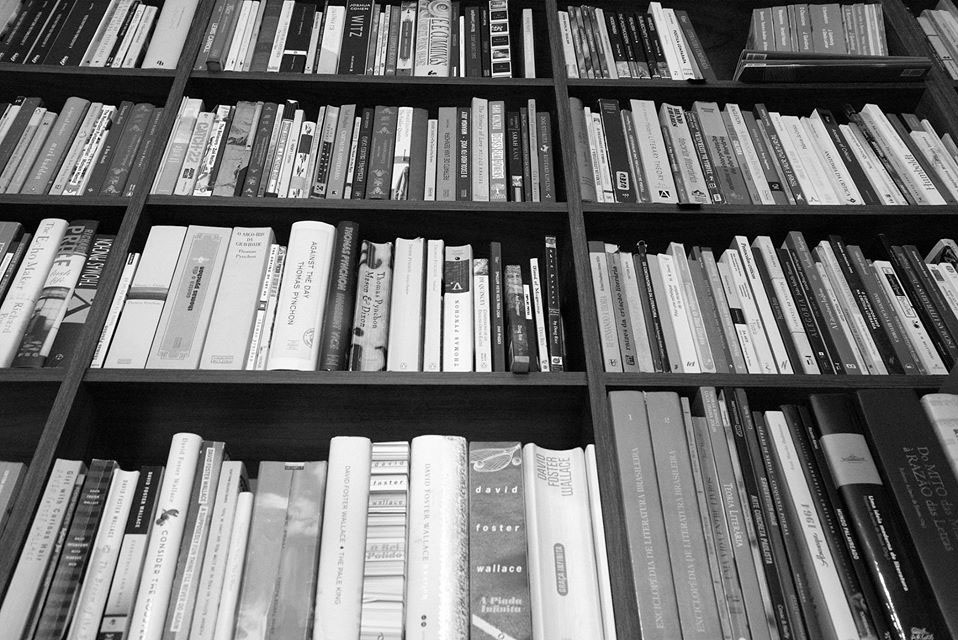 Plural lança caderno especializado em livros