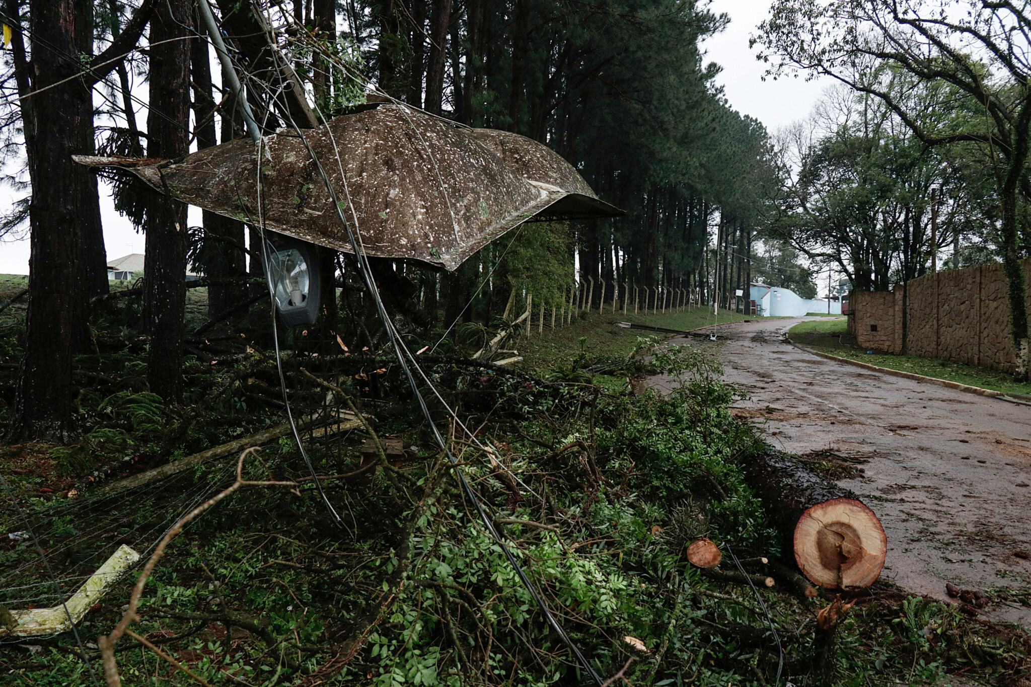 Ventos de 97 km/h geram estragos e deixam 100 mil pessoas sem luz em Curitiba
