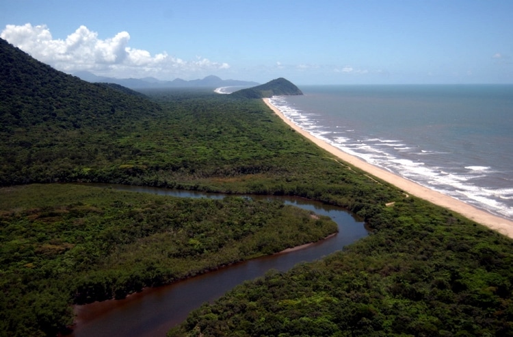 Estação Ecológica da Jureia: quando o radicalismo ideológico prejudica a união de forças