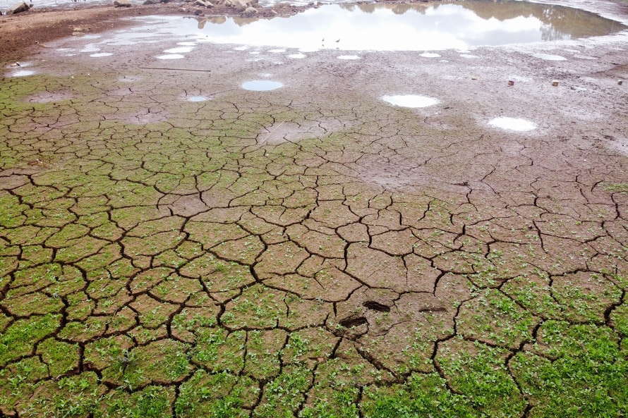 Curitiba precisa do dobro de chuva diária até o fim do ano para normalizar reservatórios