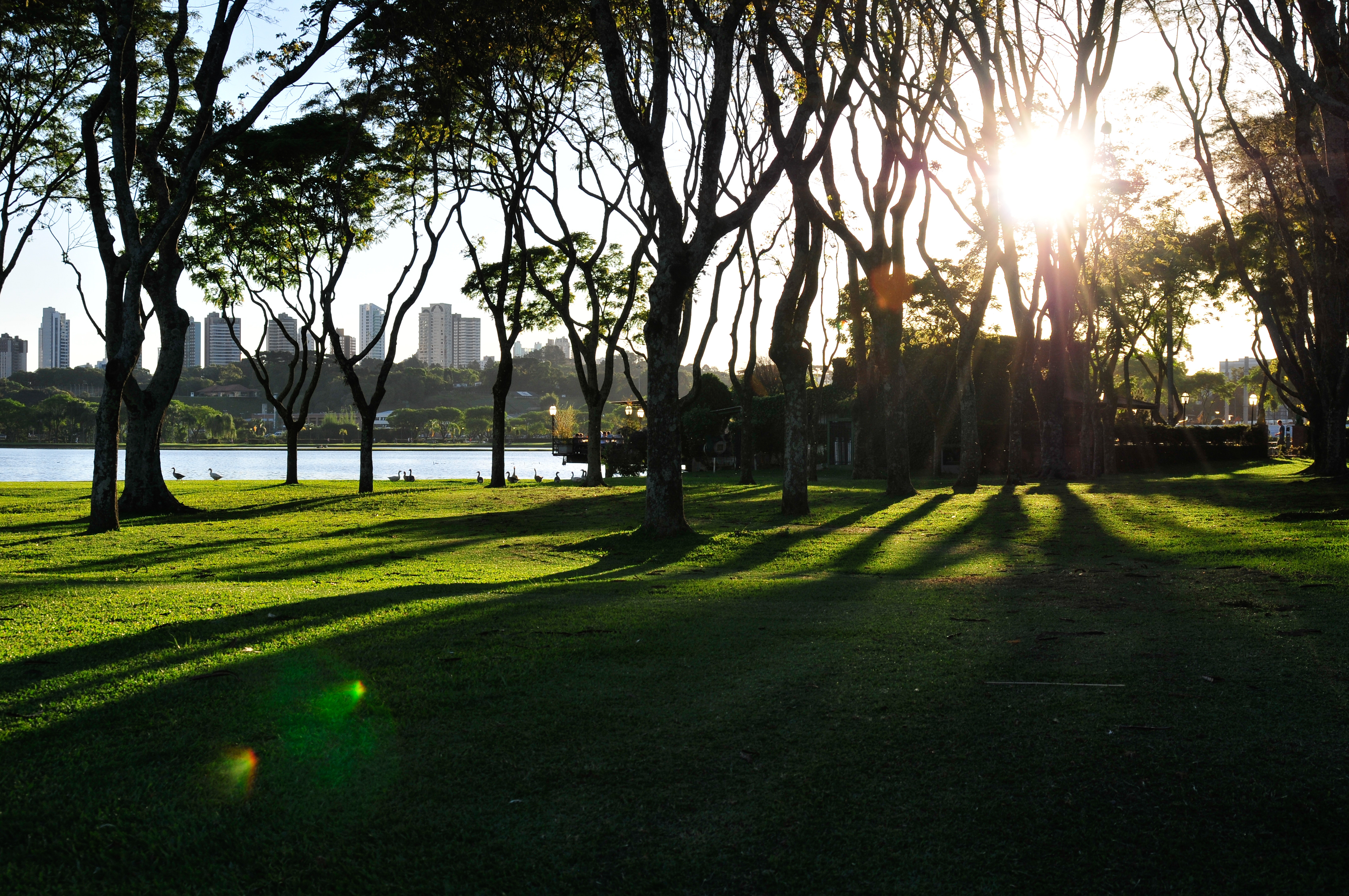 Curitiba reabre parques, bares e amplia funcionamento do comércio