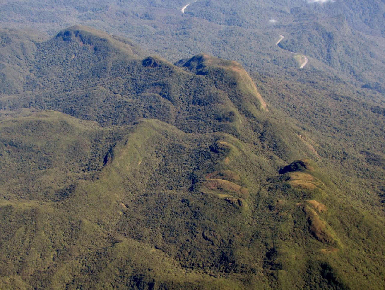 Paradigmas na conservação da natureza