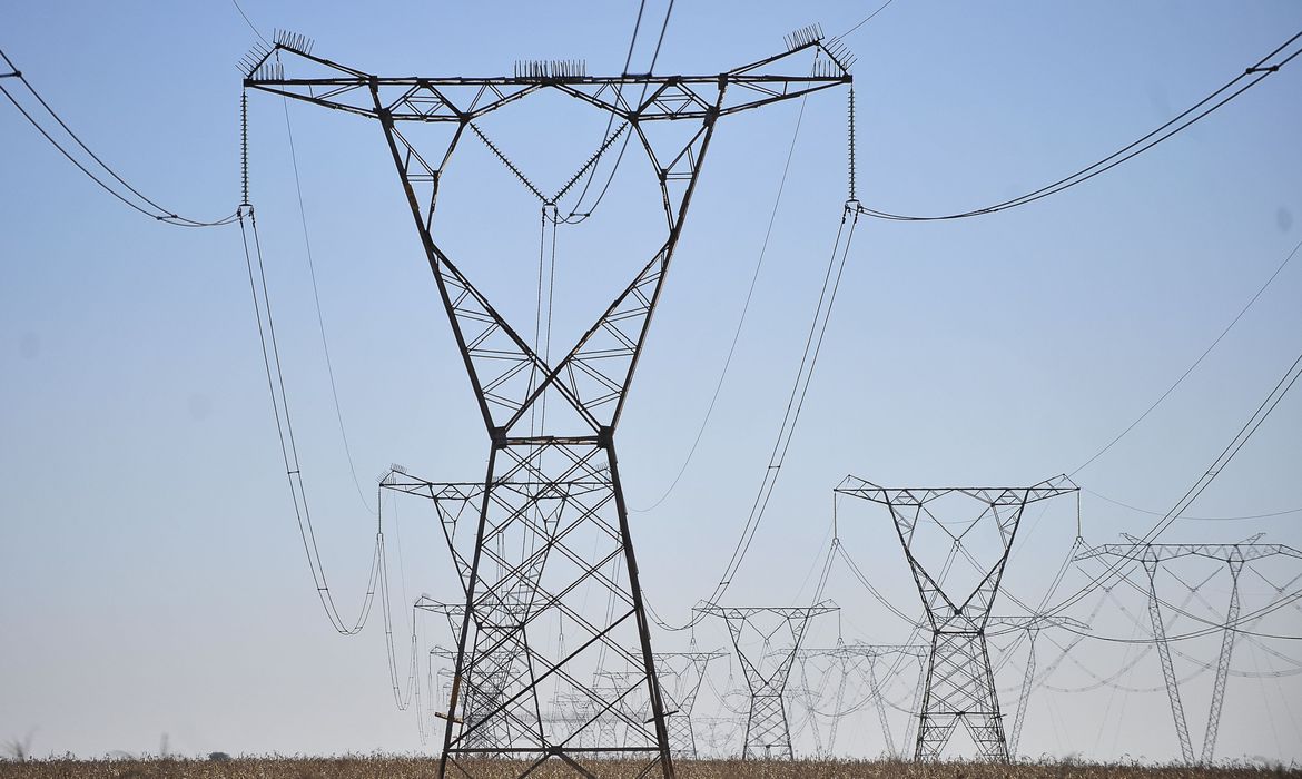 Linhas de transmissão da Engie destruiriam mais de 200 mil árvores nativas