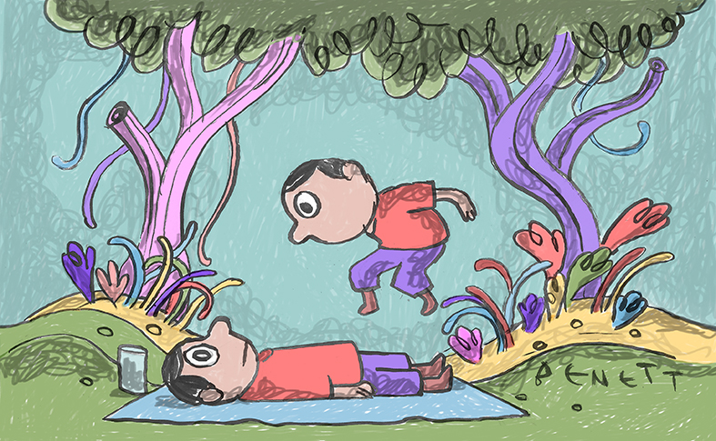 Ayahuasca: os caminhos do cipó