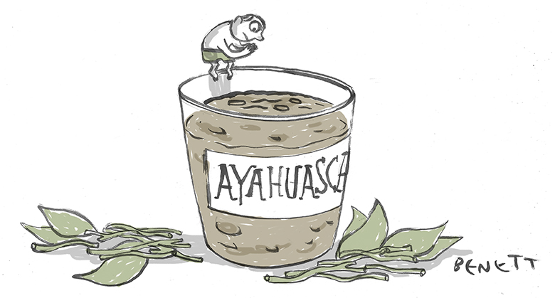 Ayahuasca: a experiência