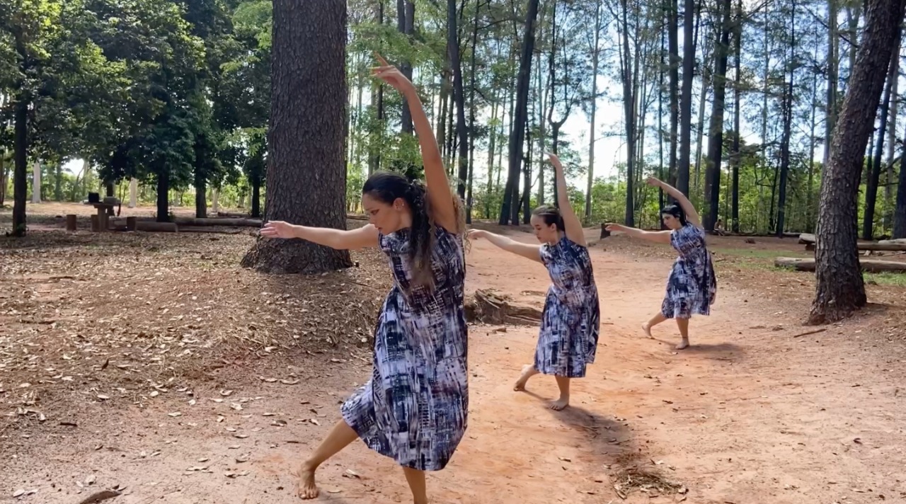 Mostra Paranaense de Dança exibe 106 vídeos selecionados por curadores