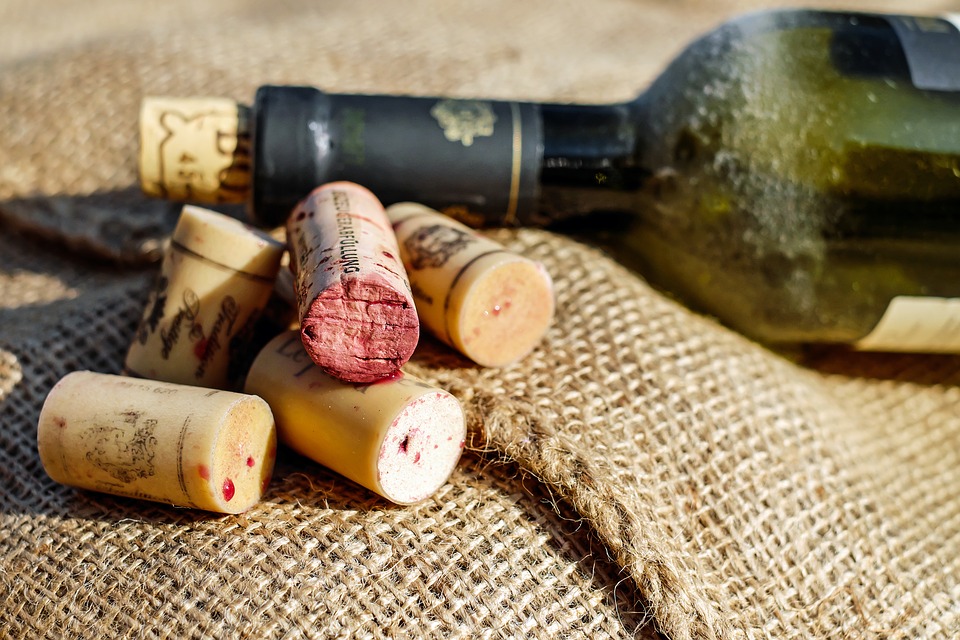Jantar com degustação de vinhos arrecada dinheiro em prol de animais abandonados