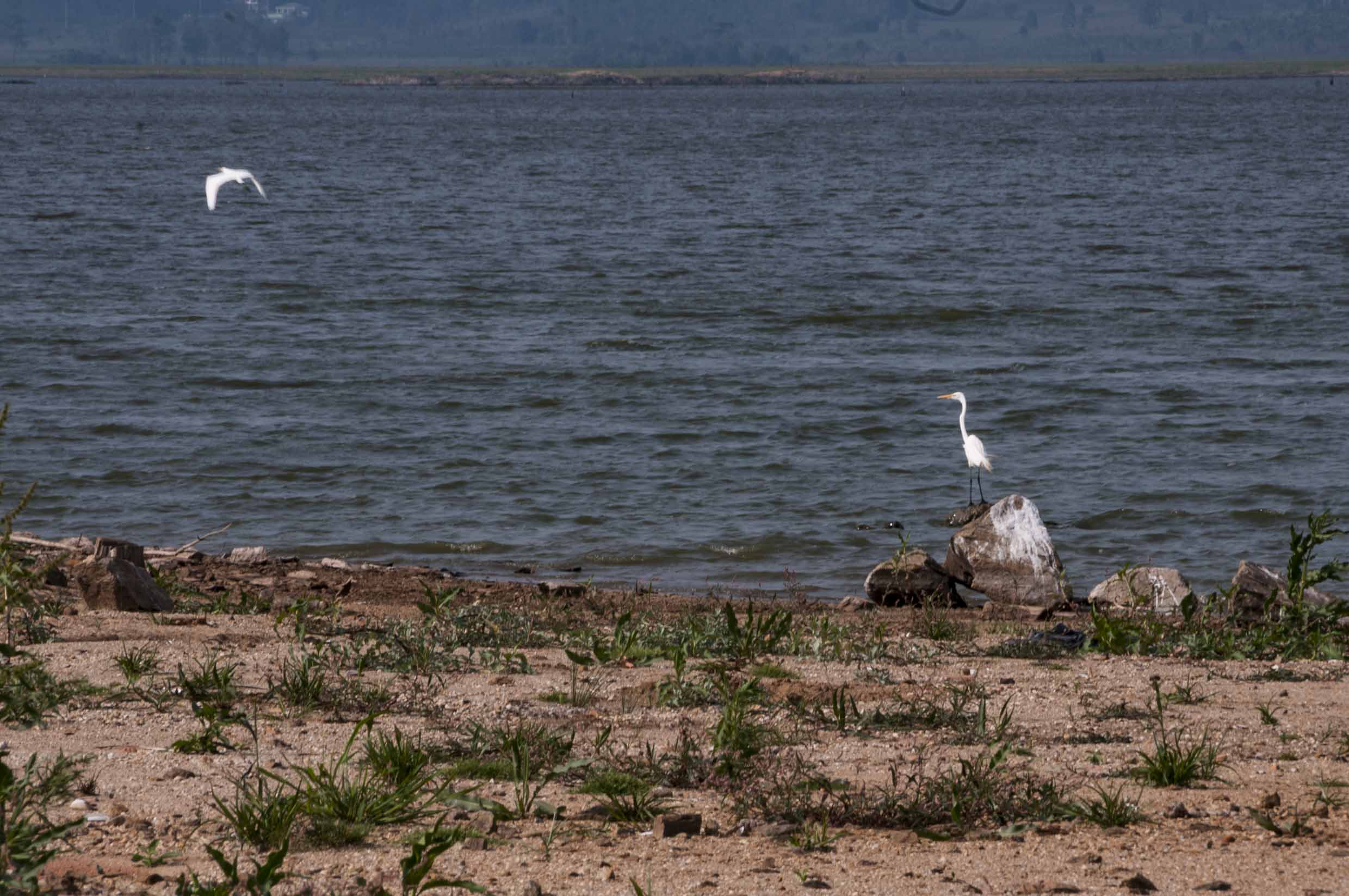 Paraná entra em alerta de emergência hídrica do Governo Federal