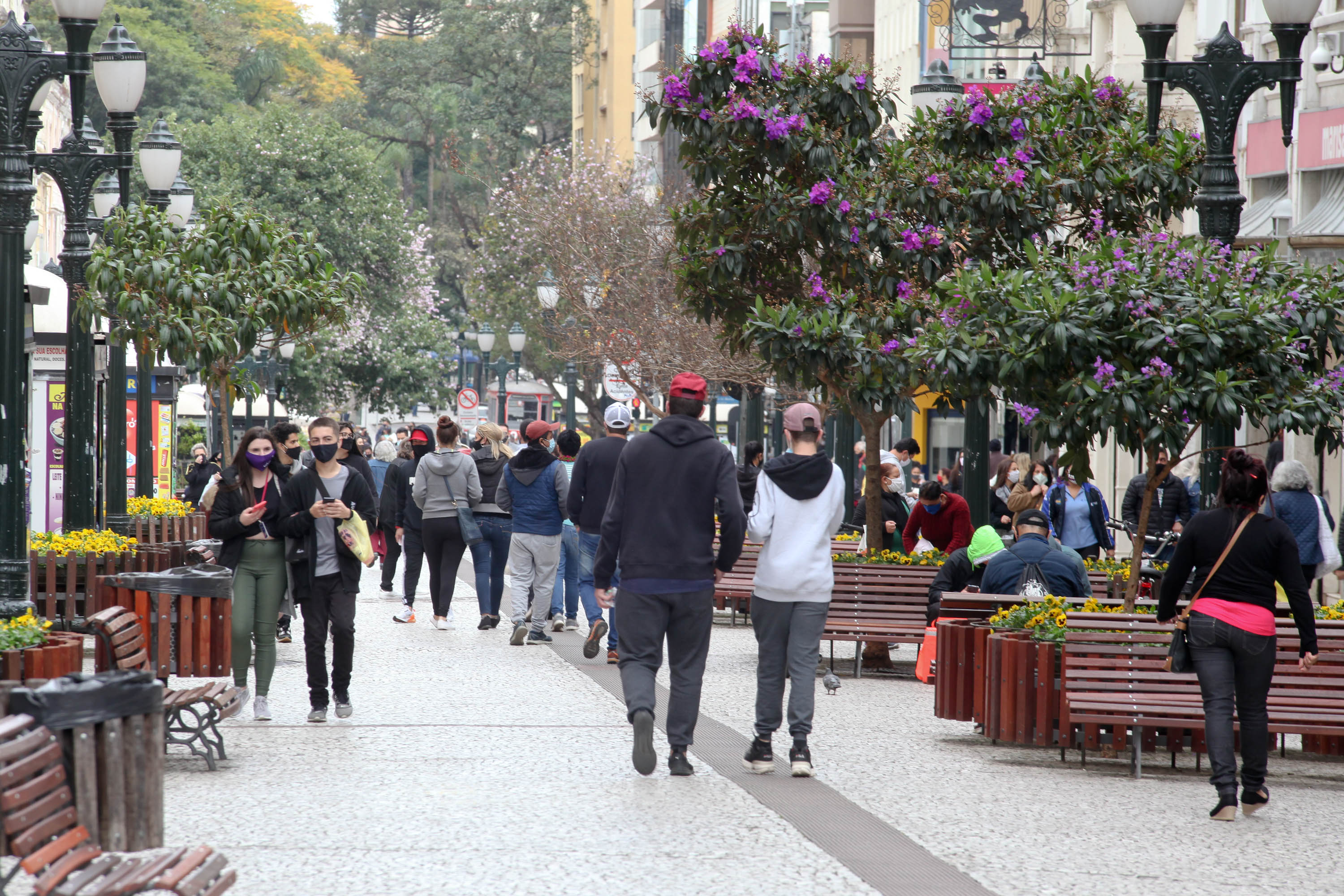 Variante Ômicron predomina no Paraná e ultrapassa 85%