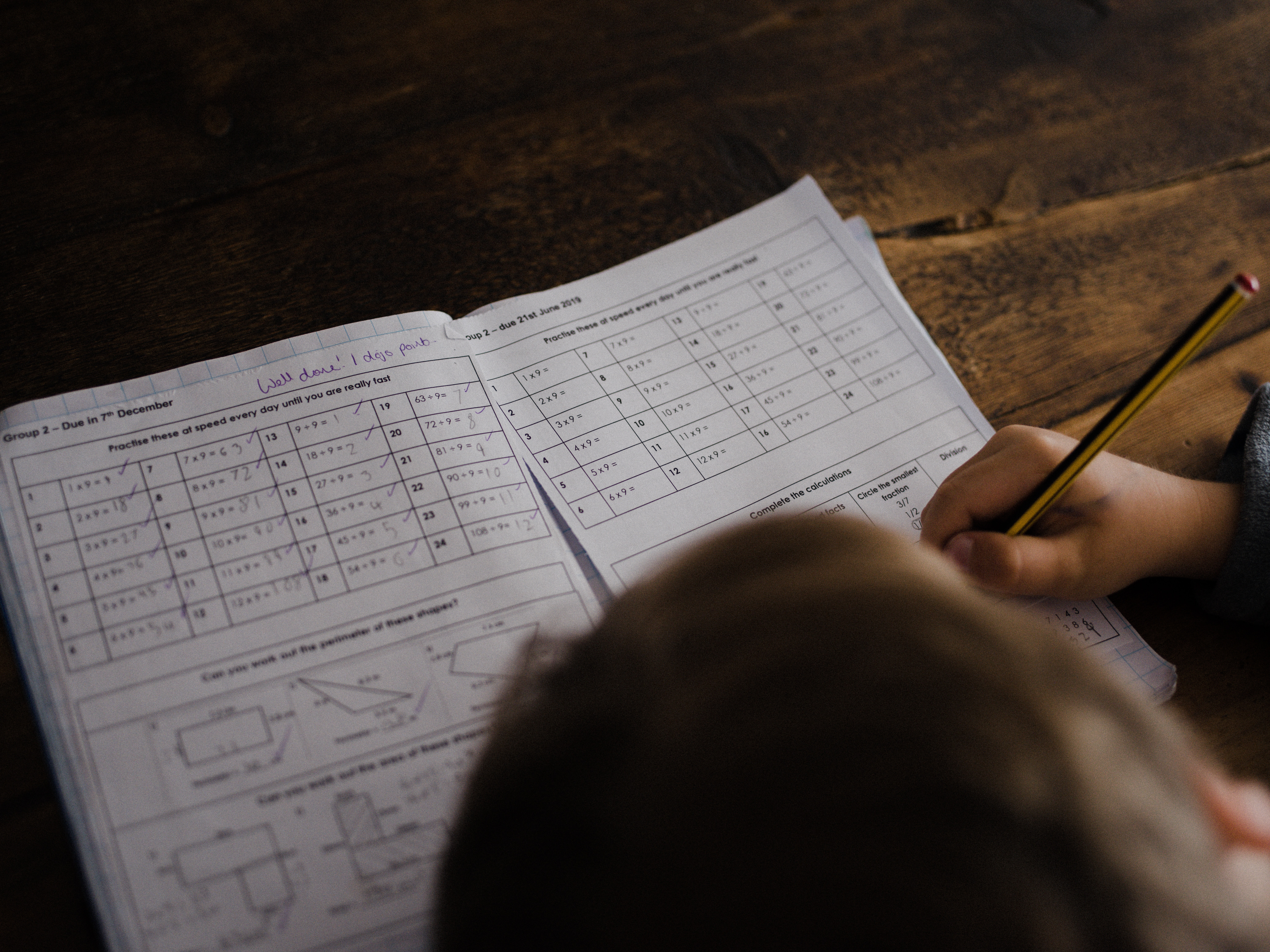 PL do homeschooling passa na Comissão de Educação e vai ao Plenário da Alep