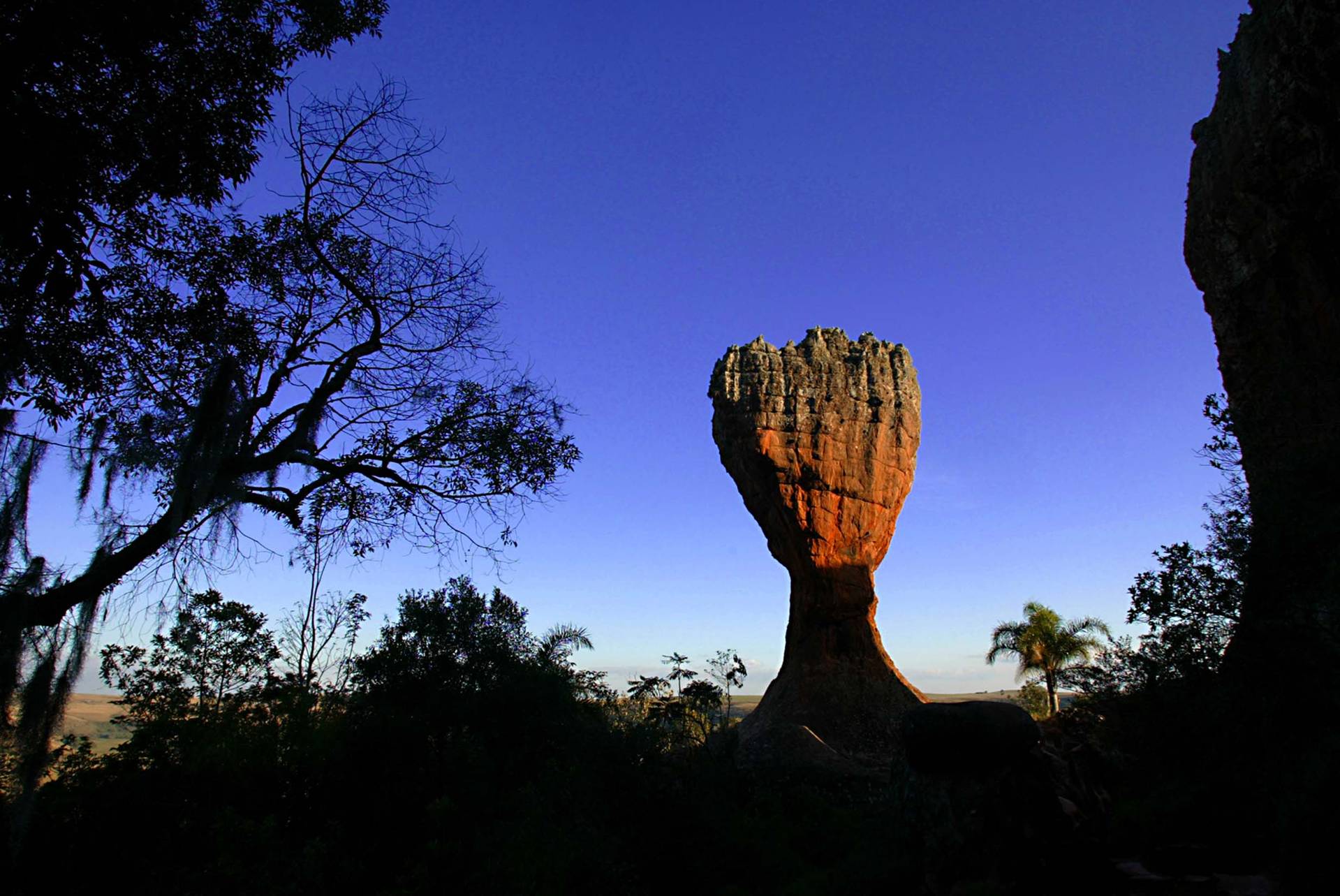 Bigarella foi despejado da terra que conhecia como poucos: museu prometido pelo governo não vai mais existir