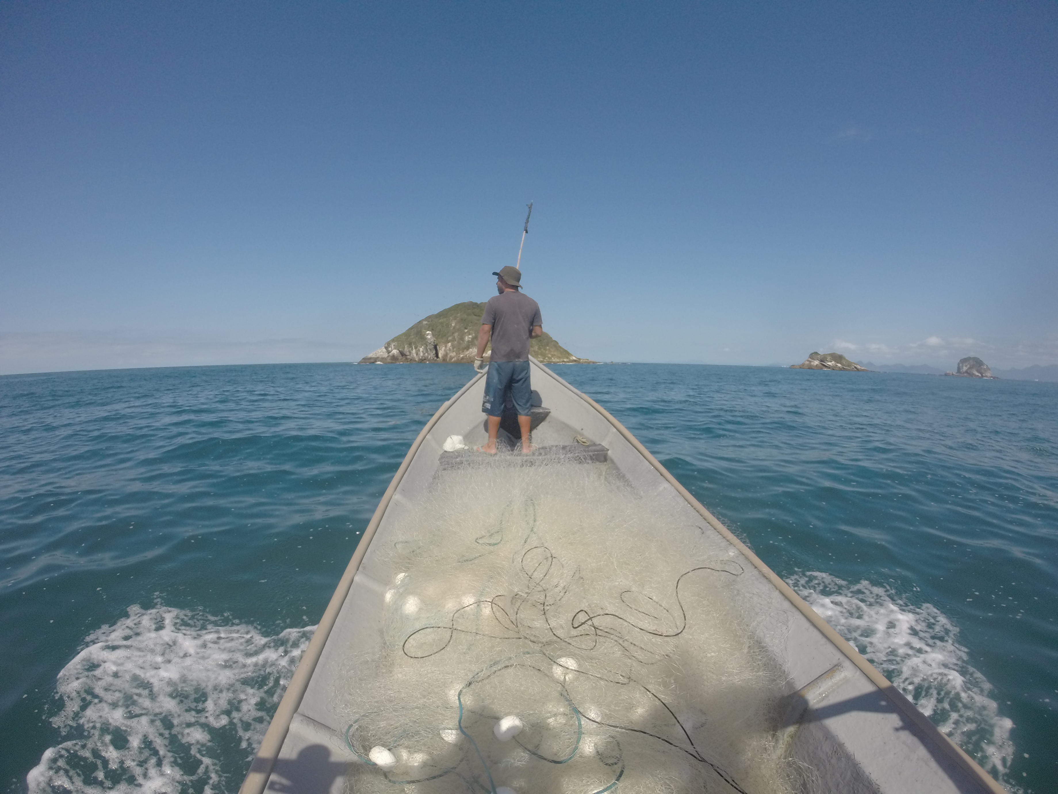 Olha o Peixe! gerou mais de R$ 400 mil em renda para pequenos pescadores do Paraná
