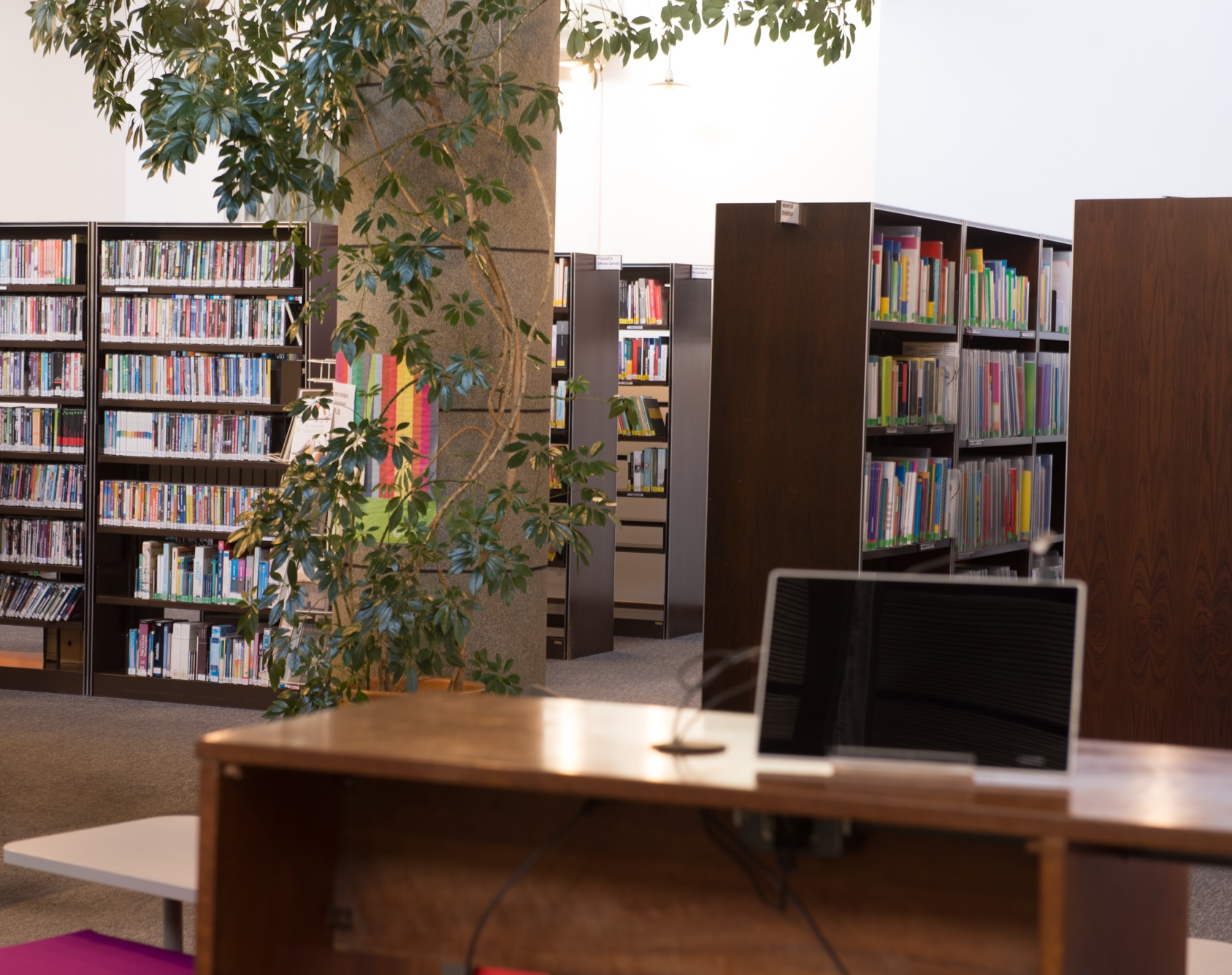 Maior biblioteca alemã de Curitiba reabre depois de mais de um ano