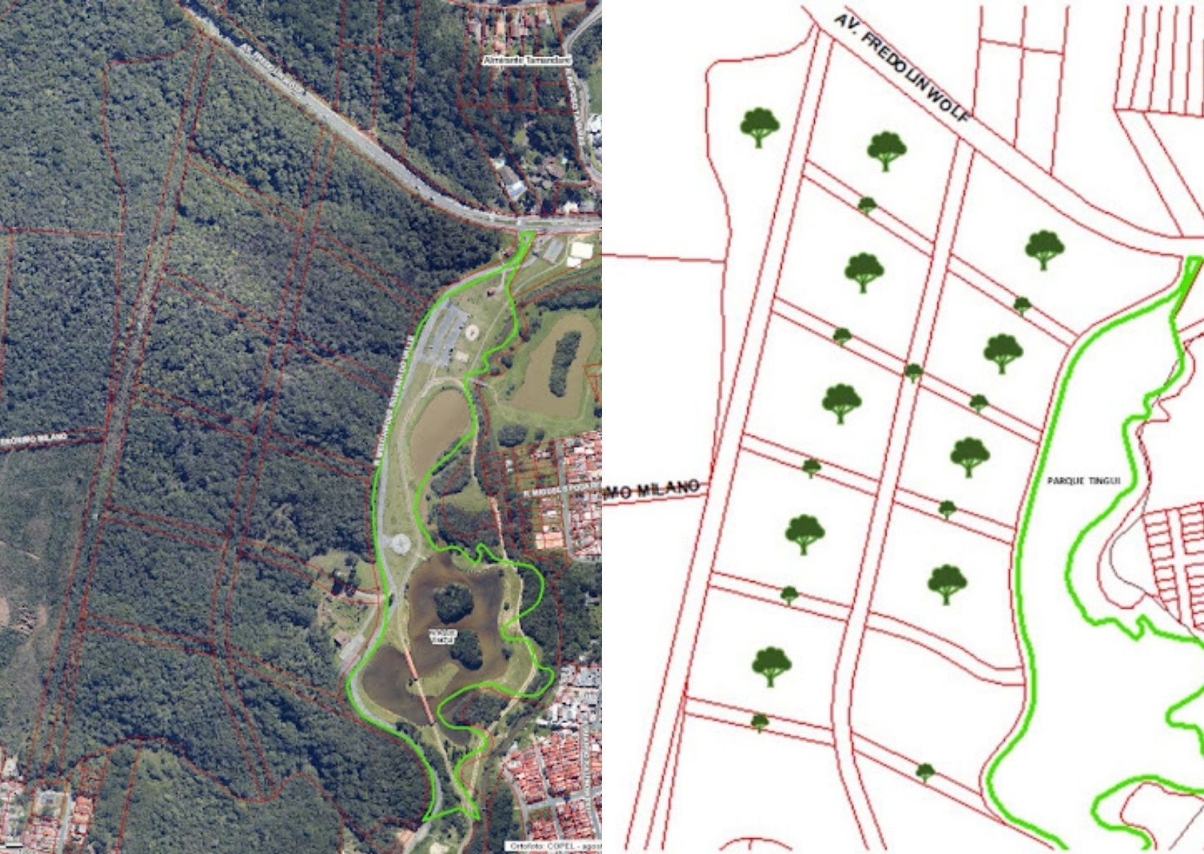 Com incentivo municipal, Curitiba mantém bosque onde seriam abertas sete ruas