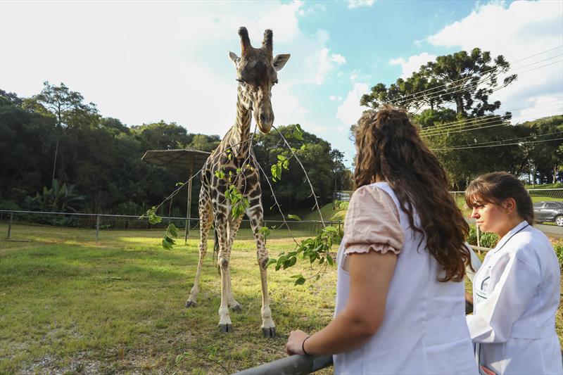 Zoológico Municipal: um espaço de preservação e proteção dos animais