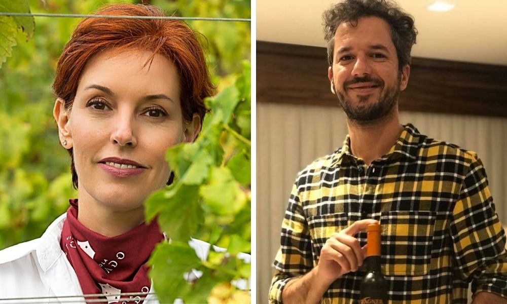 Podcast Os Gastronautas: O renascimento do vinho paranaense
