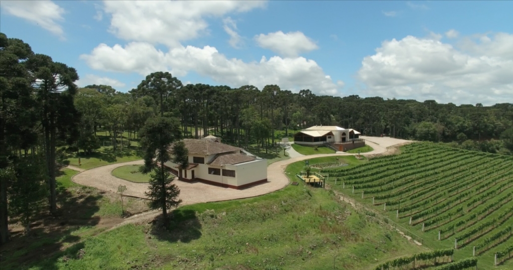 vinícola araucária sjp