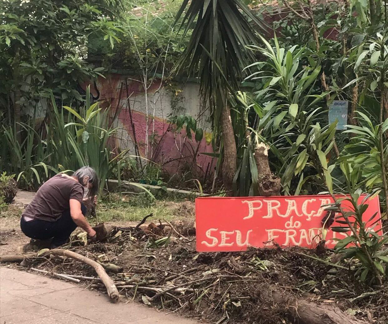 Prefeitura diz que não houve autuação ou autorização para remoção de árvores na praça Seu Francisco