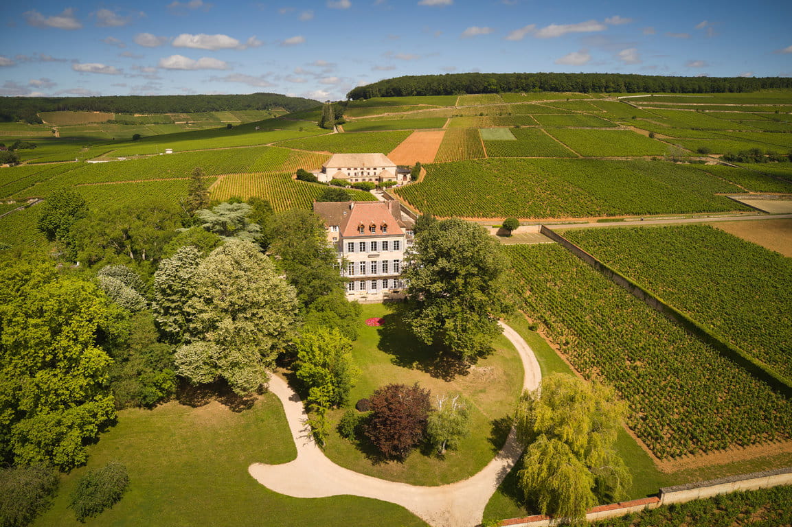 Conheça Louis Latour, vinícola centenária com mais vinhedos grands crus da Borgonha
