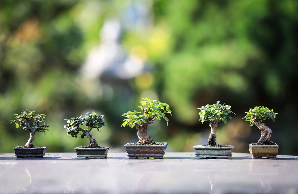 Duas técnicas para cultivar amigos