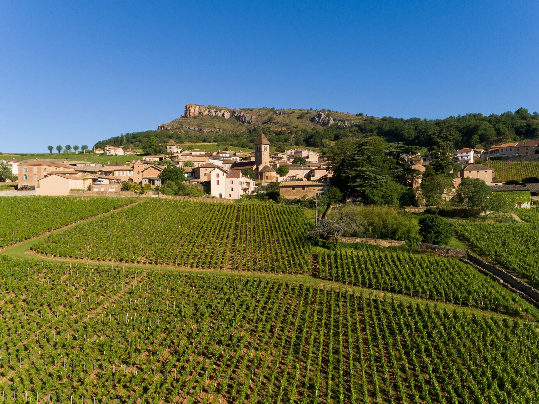 Vinhos da Borgonha para iniciantes: podcast explica regiões, uvas e denominações