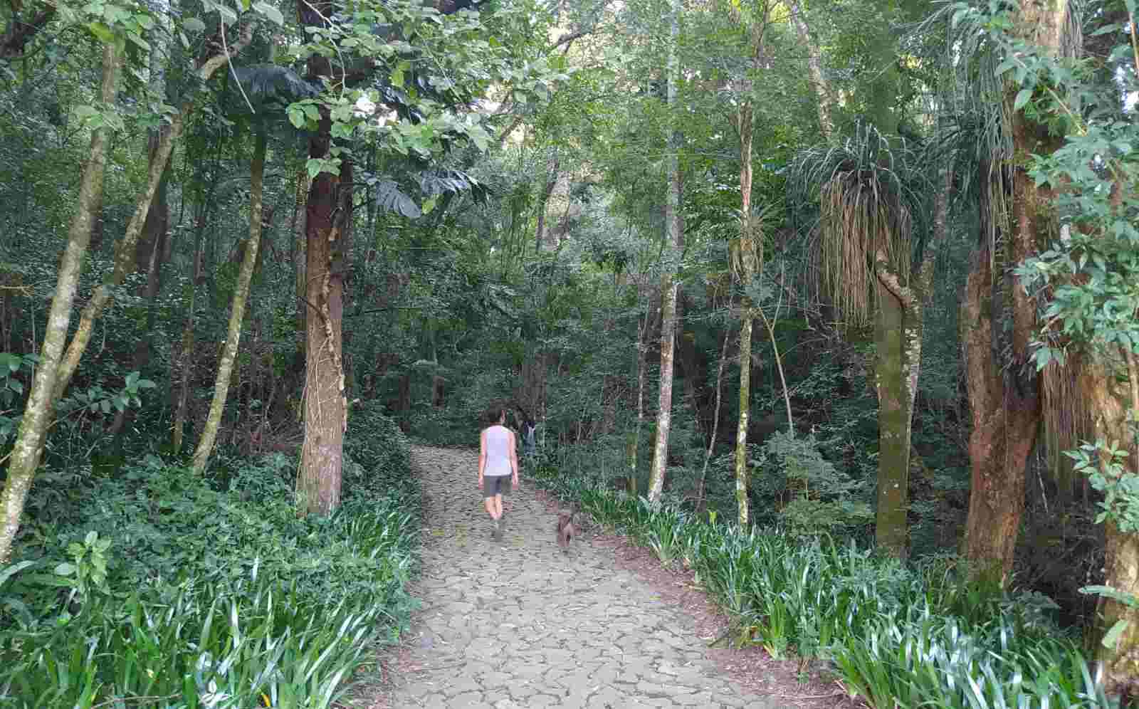 O que fazer em Curitiba: passear nos parques