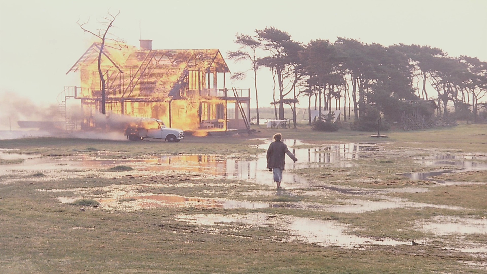 Mostra com todos os filmes de Tarkovsky, a estreia de "Flee" e a crise da Netflix
