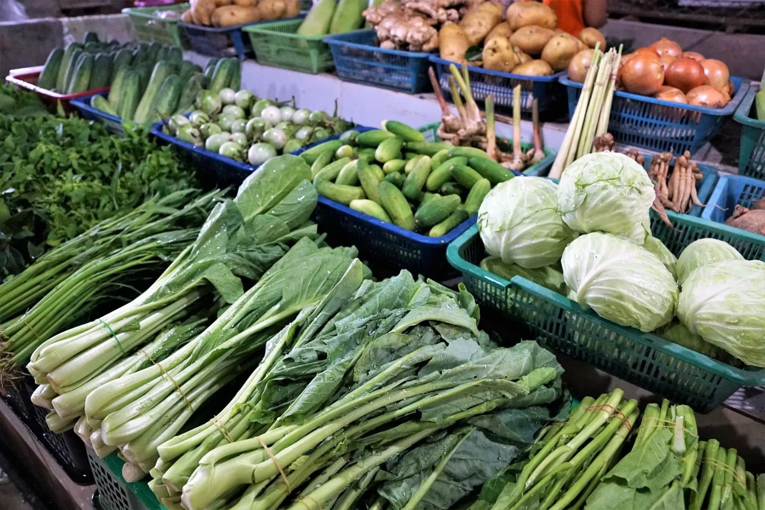 Segurança alimentar e saúde: unidas para prevenir