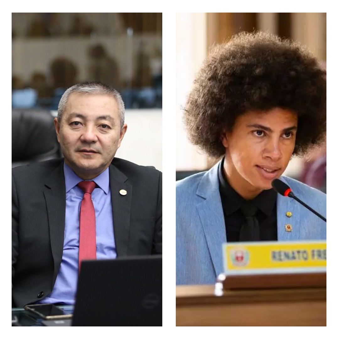 De ações a posicionamentos, existe limite para o comportamento parlamentar?