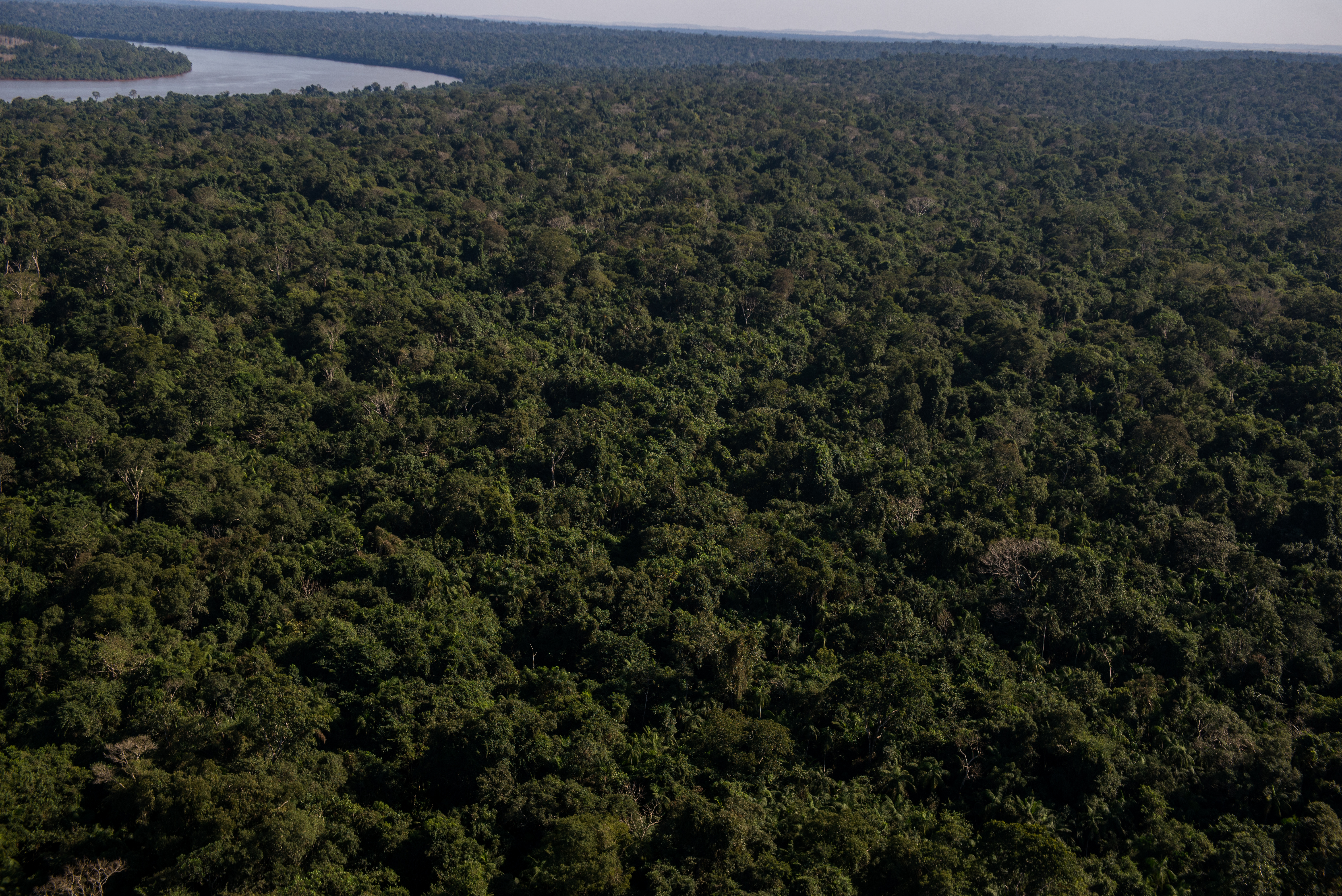A Estrada do Colono é um retrocesso, diz superintendente ambiental de Itaipu