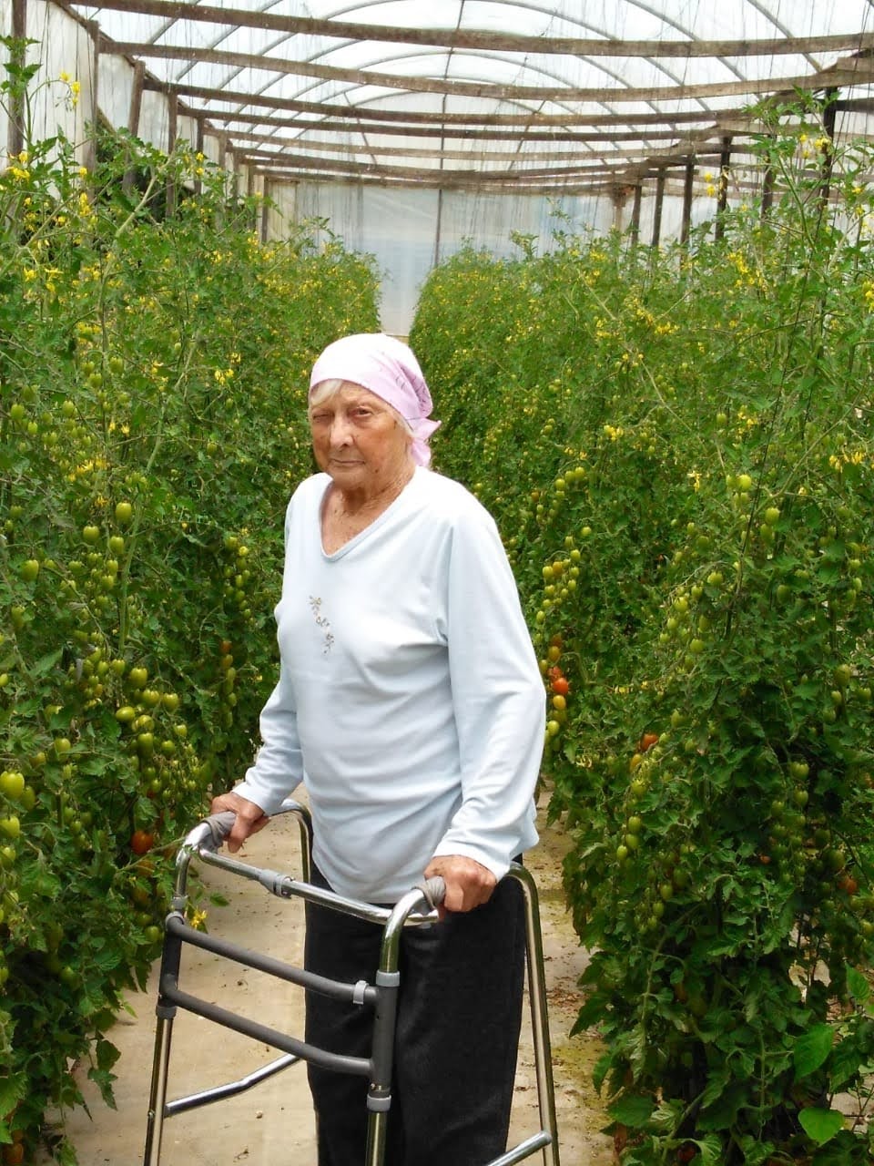 Viuvez precoce, geada e muito trabalho: a vida de uma agricultora na Colônia Murici