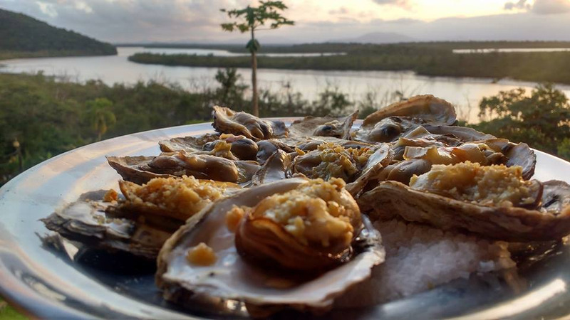 Ostras são mais carnudas e saborosas no inverno: 6 restaurantes especializados em Guaratuba