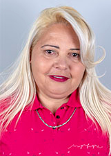 VALDIRENE PEREIRA ALVES