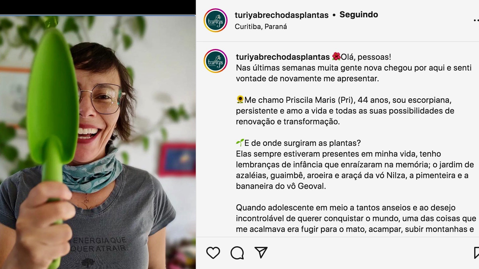 Empresária cria brechó de plantas para adoção em Curitiba