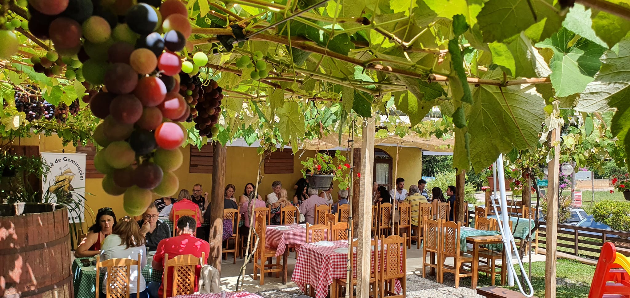 Turismo rural: A chegada do frio e uma desculpa para um bom vinho