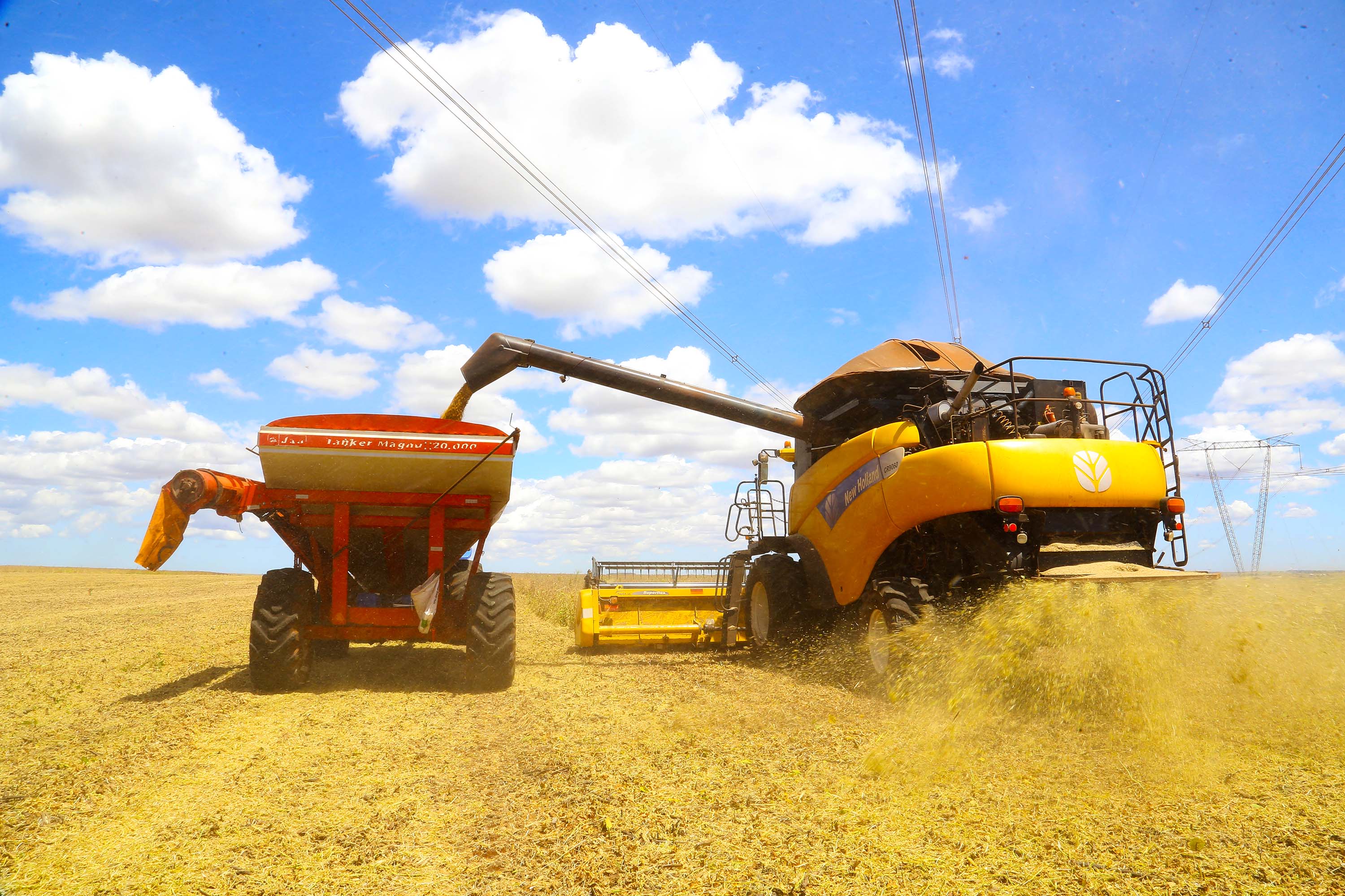 Cooperativas de crédito do Paraná têm 2,5 milhões de membros