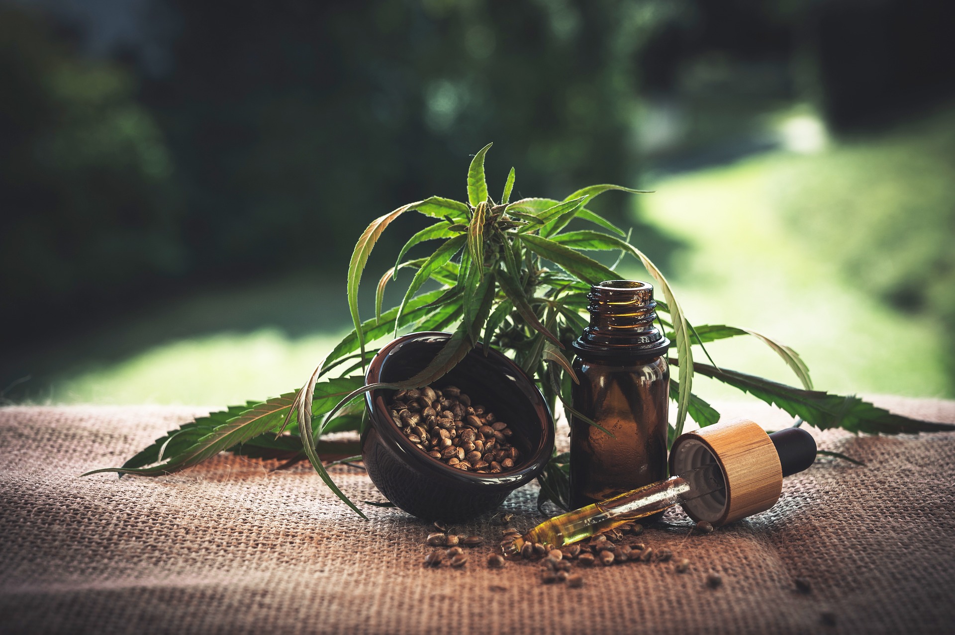 CFM vai reabrir Consulta sobre prescrição de cannabis