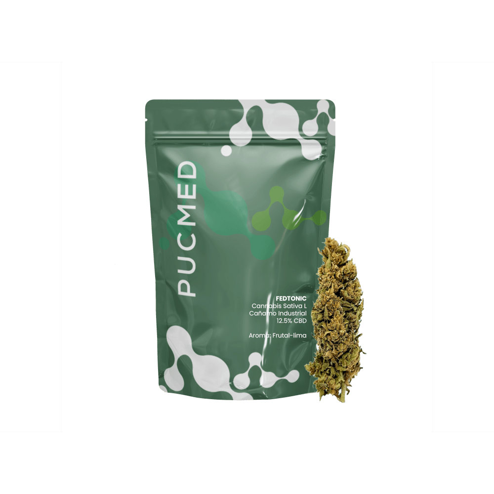 De cursos a cannabis com entrega rápida: Hemp Fair revela futuro em meio a incertezas