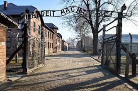 Contar a vida da avó para resgatar a história do Holocausto