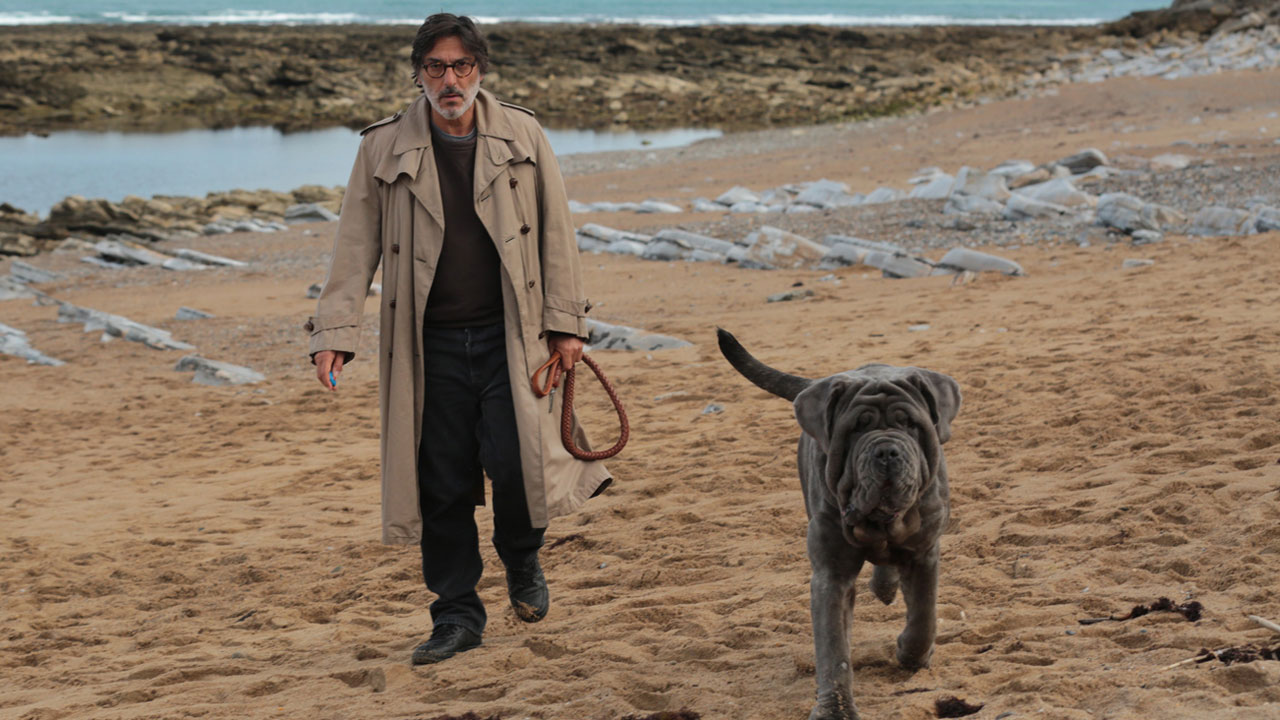Francês Yvan Attal tenta fazer filminho alto astral com “Meu cachorro e eu”