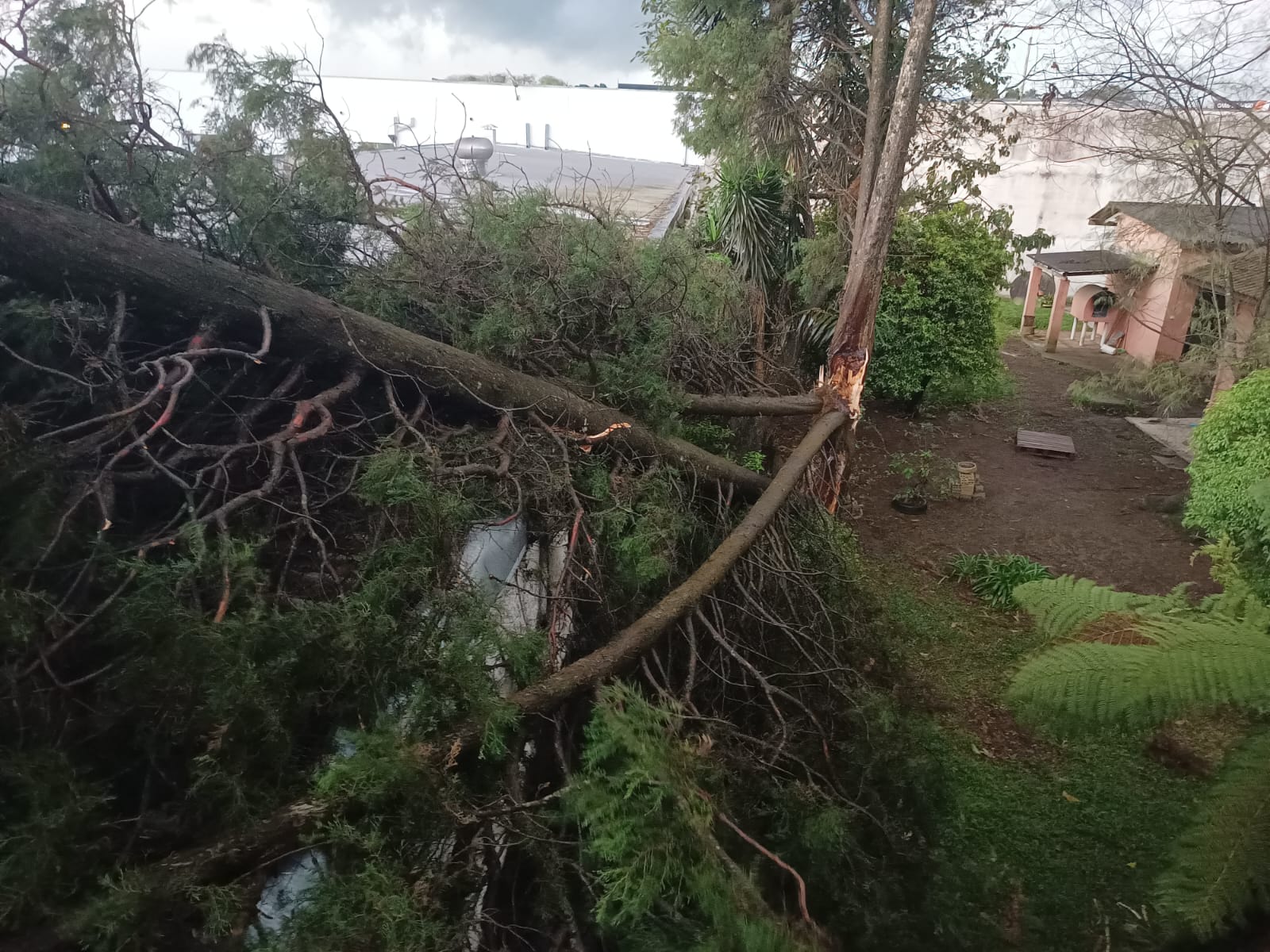 Chuva causa estragos em Campo Largo