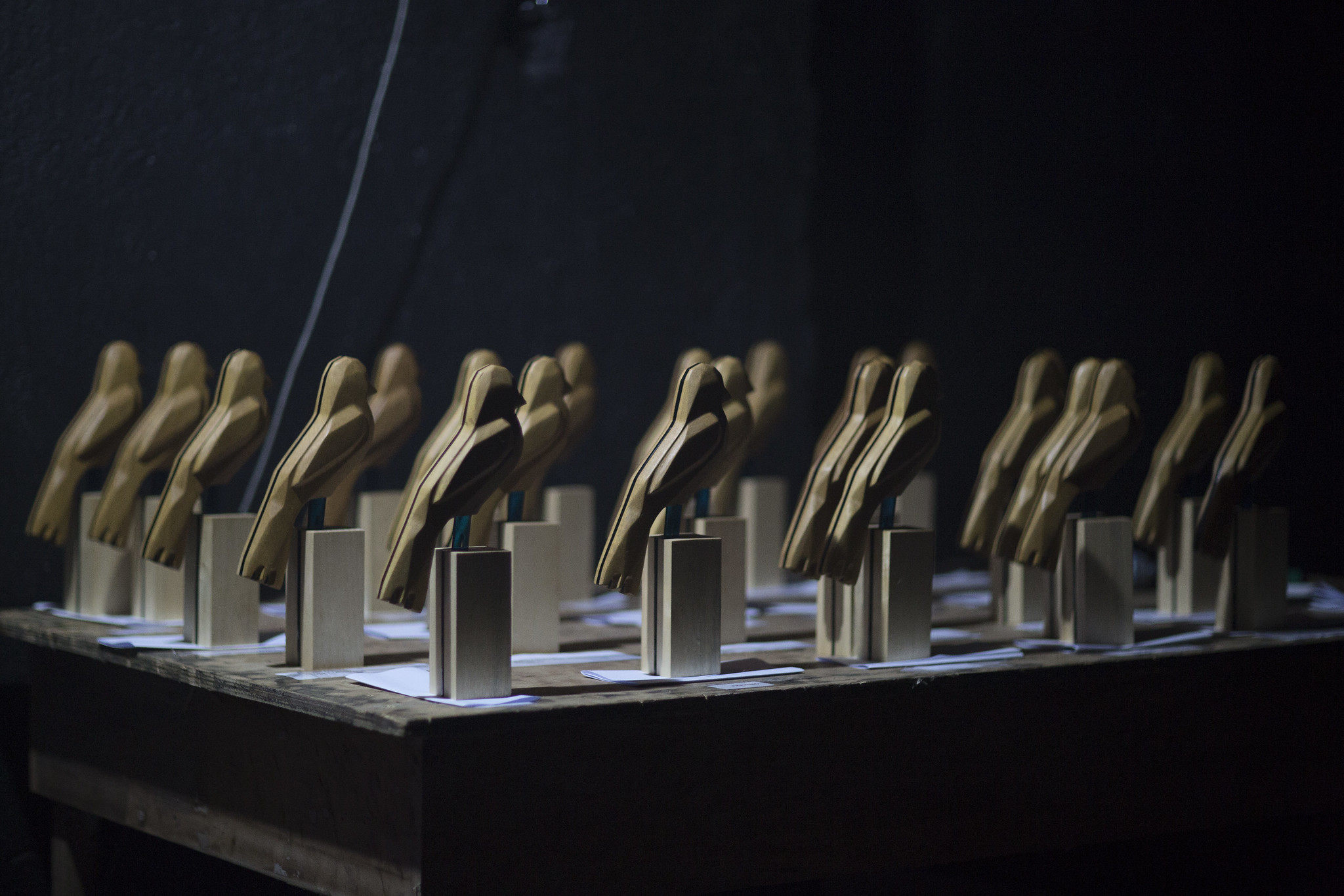 Ainda dá tempo para concorrer ao Troféu Gralha Azul