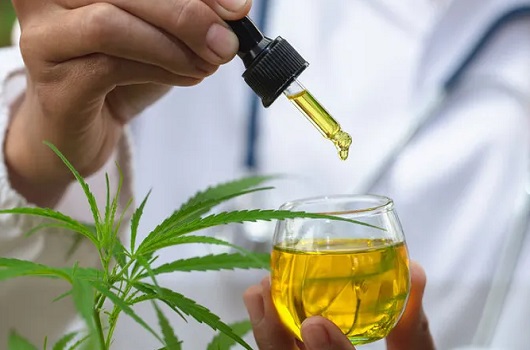 Curitiba poderá distribuir medicamentos à base de canabidiol em unidades de saúde