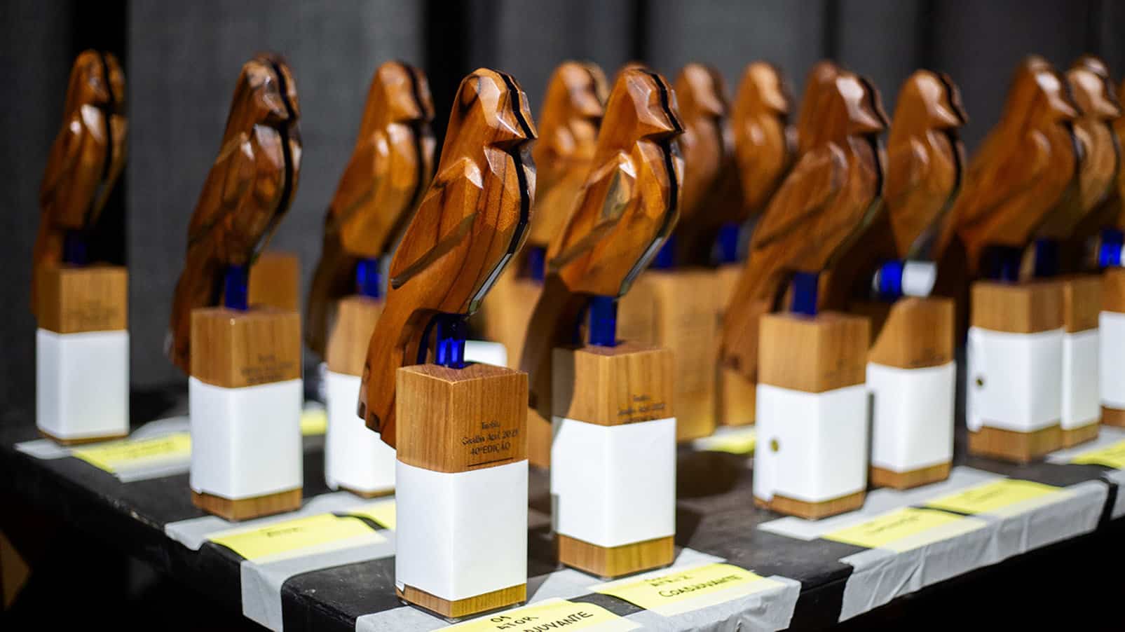Pressionado por movimento negro, Troféu Gralha Azul pode passar por mudanças