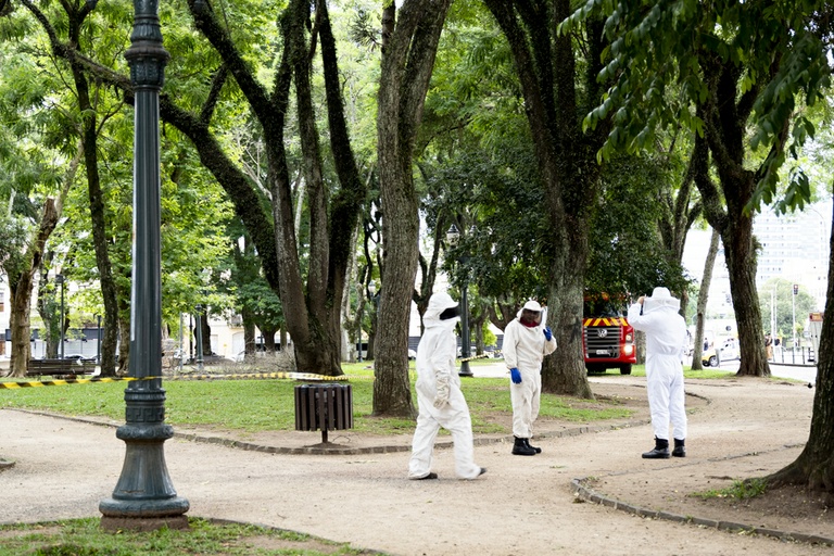 Três pessoas são encaminhadas ao hospital após ataque de abelhas em Curitiba