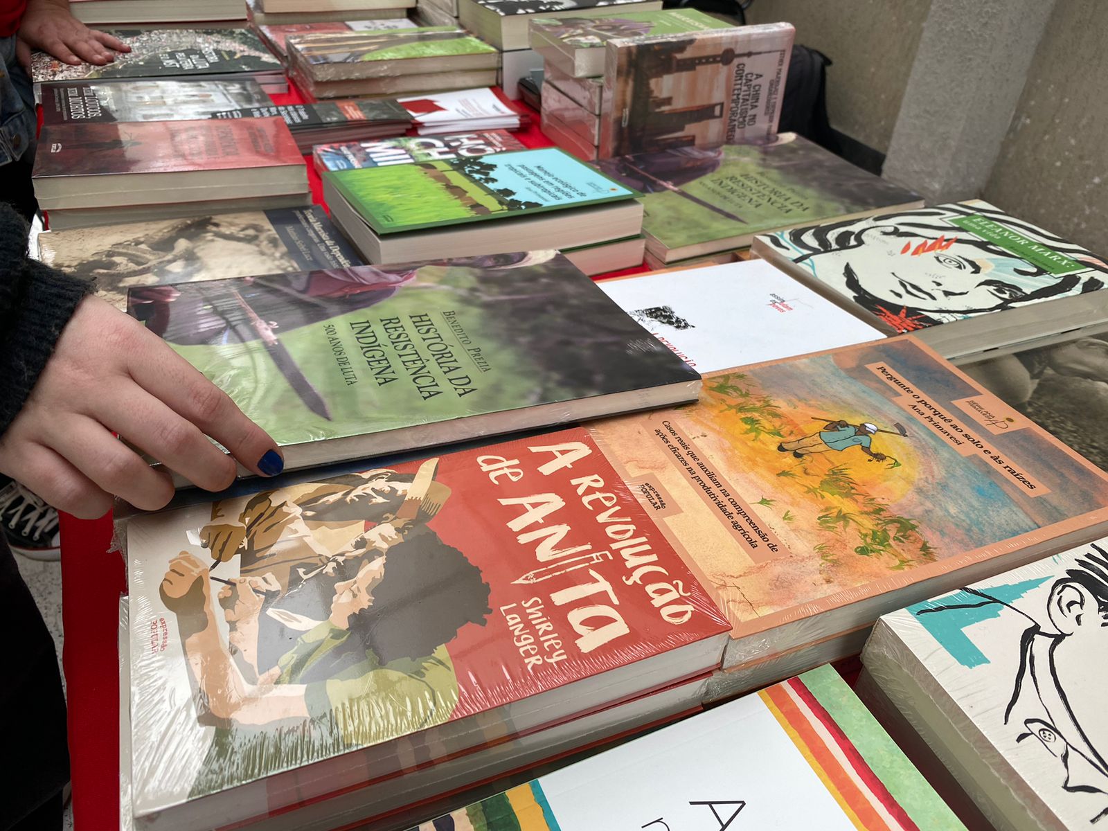 Da floresta à livraria: setor gráfico do Paraná se adapta e sobrevive ao digital