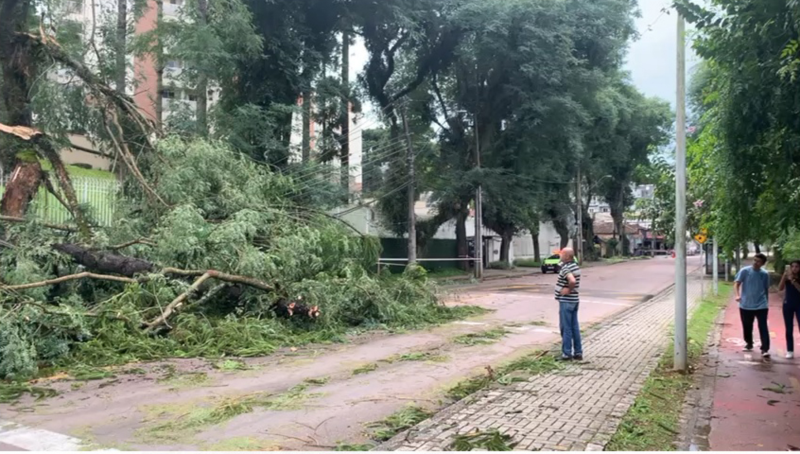 Vendaval provoca estragos em Curitiba