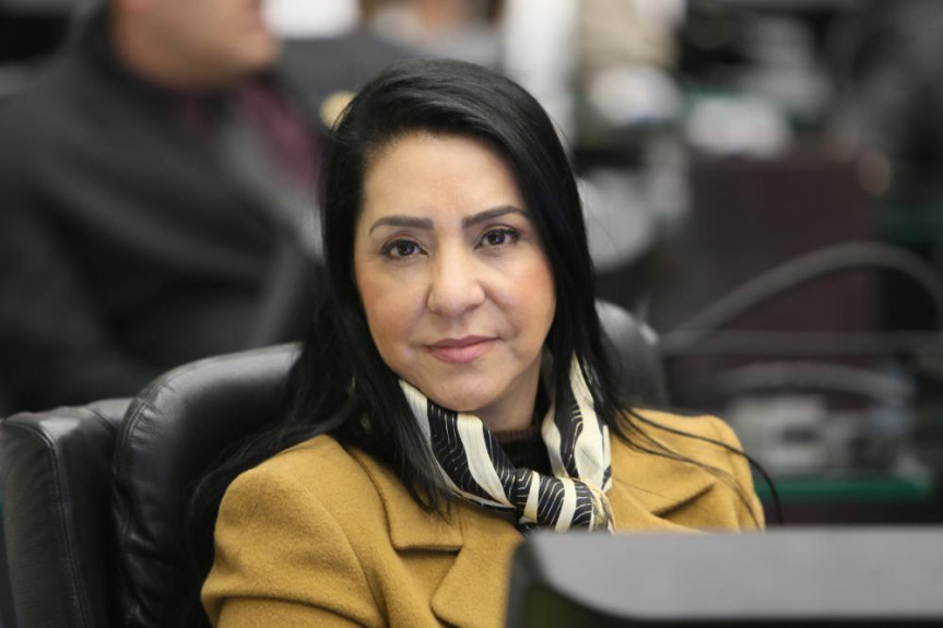PL permite que mulheres pesquisem antecedentes criminais de parceiros