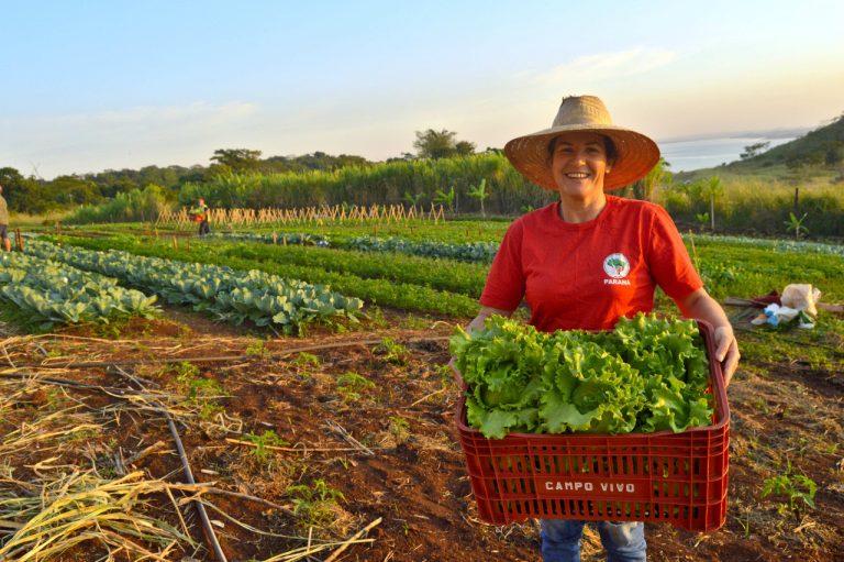 Cinco feiras para comprar alimentos orgânicos em Curitiba